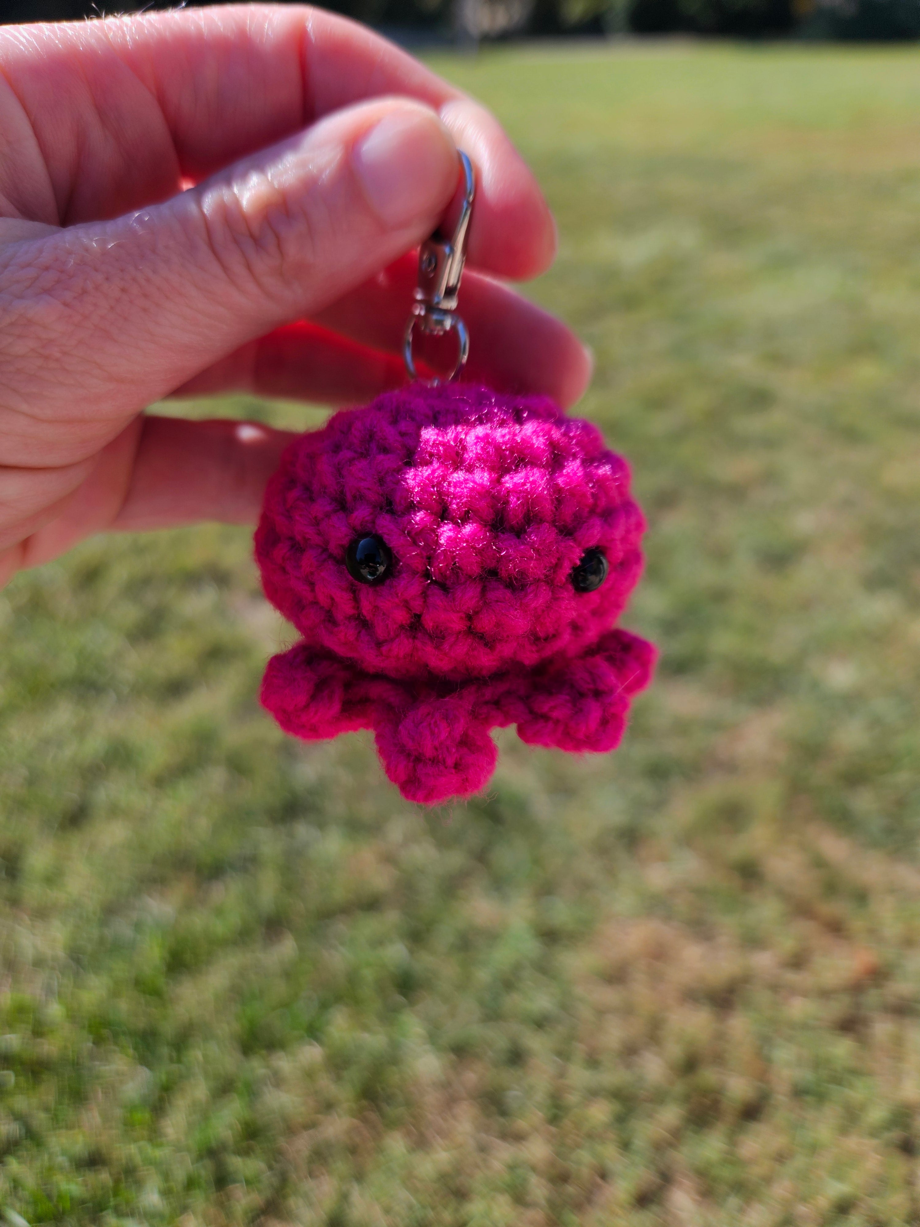 On an Octopus's Backpack